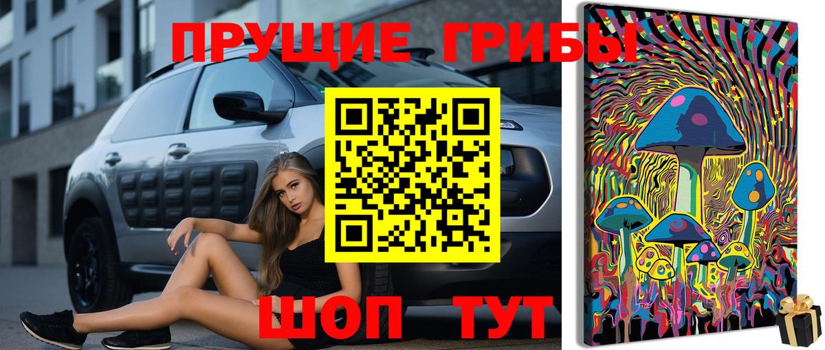 Псилоцибиновые грибы Magic Shrooms  Вход с VPN  Петропавловск-Камчатский 